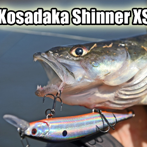 115-й «работяга» Kosadaka Shinner XS