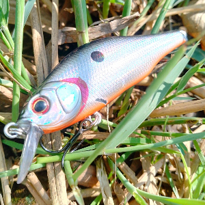 Обзор Kosadaka Mirage XS 70F. Новый взгляд на классику.