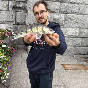 Обзор Kosadaka Larva: легенда в новом исполнении