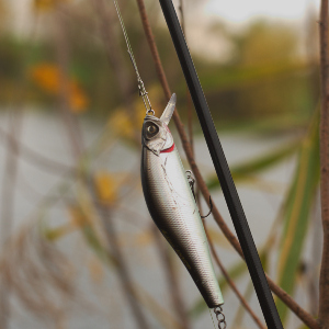 Гадкий утенок или эффективный охотник? Обзор воблера Strike Pro Archback 100 SP