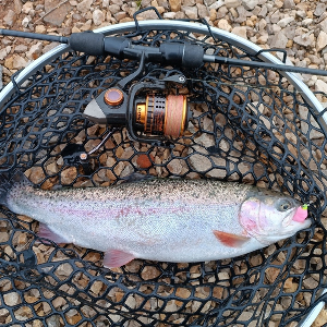 Правильные крючки для форелевых джиг-головок. Обзор Decoy AH-12 Area Hook Jiggy