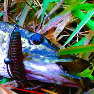 Обзор крючков Swimbait Hooks. Острые когти Berkley-2