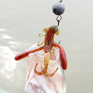 Лидер осени 2025. Обзор мягкой приманки Kosadaka Kong.