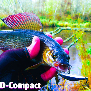 Обзор воблера Smith D-Compact 45. Беспроигрышный выбор