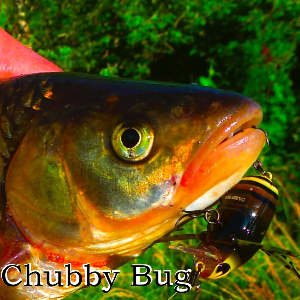 Обзор воблера Jackall Chubby Bug 35. Достойный наследник