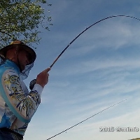 Косадака Мустанг Кастинг