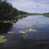 Блесна Kuusamo Rasanen 70/10 (незацепляйка)