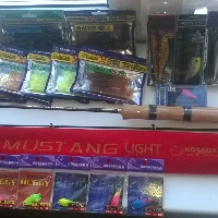 Знакомство с Мустангом