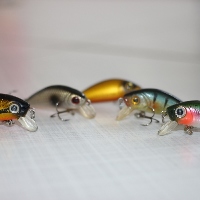 Yo-Zuri L-Minnow 44 (F199). Старый конь борозды не испортит