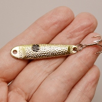 Блесна Acme Trophy Spoon.