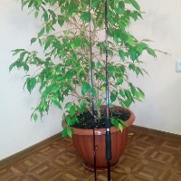 Обзор спиннинга Kosadaka Absolut Bass Special 207 M