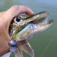 Распаковка посылки с приманками и крючками по заказу интернет-магазина Fmagazin.