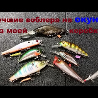 Видеообзор лучших воблеров для ловли окуня из моей коробки по заказу Fmagazin