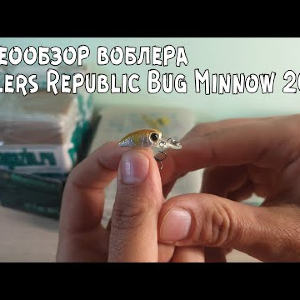 Видеообзор воблера Anglers Republic Bug Minnow 20MR по заказу с Fmagazin
