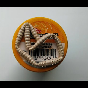 Видеообзор Berkley Powerbait Honey Worms по заказу интернет-магазина Fmagazin