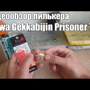 Видеообзор пилькера Daiwa Gekkabijin Prisoner TG по заказу с Fmagazin