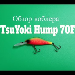 Видеообзор воблера-шеда TsuYoki Hump 70F по заказу Fmagazin