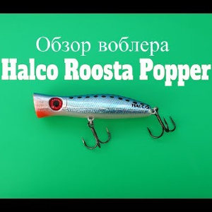 Видеообзор поппера Halco Roosta Popper 105 по заказу Fmagazin