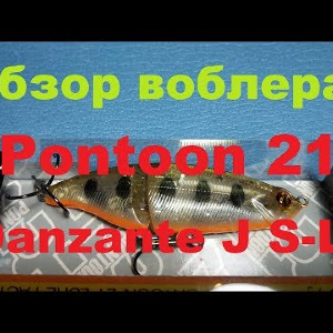 Видеообзор составника Pontoon 21 Danzante J S-LL по заказу Fmagazin