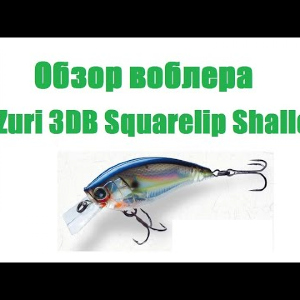Видеообзор воблера  Yo-Zuri 3DB Squarelip Shallow  по заказу интернет-магазина F