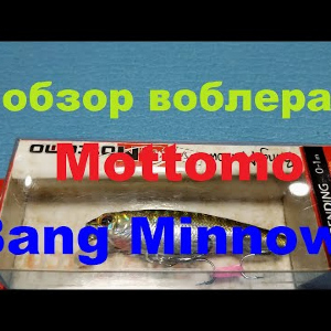 Видеообзор классного воблера Mottomo Bang Minnow по заказу Fmagazin