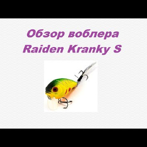 Видеообзор Raiden Kranky S по заказу Fmagazin.