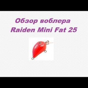 Видеообзор Raiden Mini Fat 25 по заказу Fmagazin.