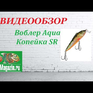 Видеообзор Воблера Aqua Копейка SR по заказу Fmagazin.