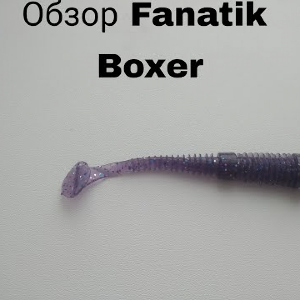 Обзор Fanatik Boxer по заказу Fmagazin