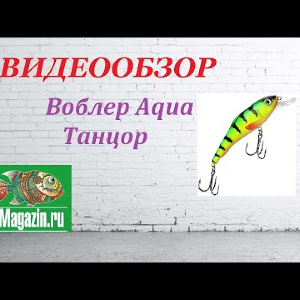 Видеообзор Воблера Aqua Танцор по заказу Fmagazin.
