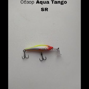 Обзор воблера Aqua Tango SR по заказу Fmagazin