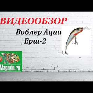 Видеообзор Воблера Aqua Ерш-2 по заказу Fmagazin.