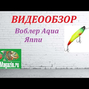 Видеообзор Воблера Aqua Яппи по заказу Fmagazin.