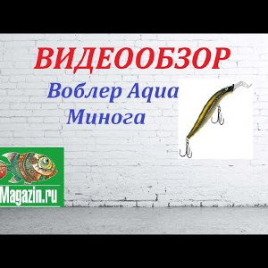 Видеообзор Воблера Aqua Минога по заказу Fmagazin.