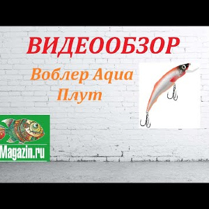 Видеообзор Воблера Aqua Плут по заказу Fmagazin.