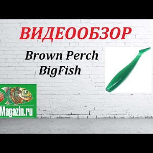 Видеообзор Brown Perch BigFish по заказу Fmagazin.