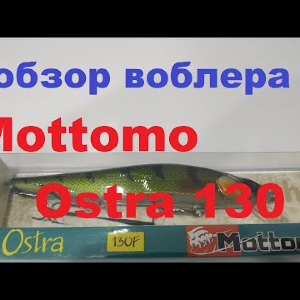 Видеообзор воблера Mottomo Ostra 130 F по заказу Fmagazin