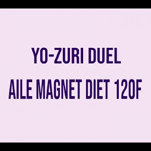 Видеообзор Yo-Zuri Duel Aile Magnet Diet 120F по заказу Fmagazin