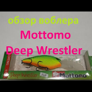 Видеообзор кренка Mottomo Deep Wrestler по заказу Fmagazin