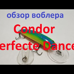 Видеообзор воблера Condor Perfecte Dancer по заказу Fmagazin