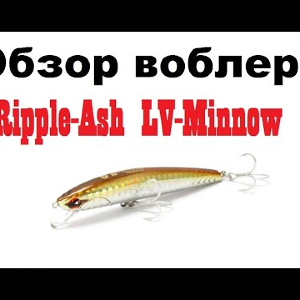 Видеообзор воблера  Ripple-Ash LV-Minnow   по заказу интернет-магазина Fmagazin.