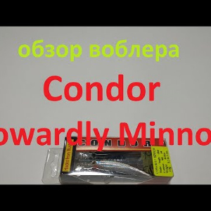 Видеообзор воблера Condor Cowardly Minnow по заказу Fmagazin