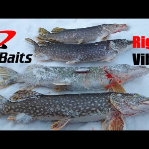 Обзор виба Zipbaits Rigge Vib 63 по заказу Fmagazin