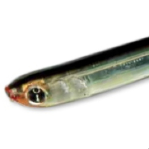 Распаковка посылки с силиконовой рыбкой Izumi Pintail по заказу Fmagazin