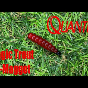 Обзор силиконовой приманки Quantum Magic Trout B-Maggot по заказу Fmagazin