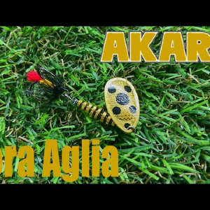 Обзор блесны Akara Tournament Series Fora Aglia по заказу Fmagazin