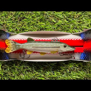 Обзор Izumi Fly Pike по заказу Fmagazin