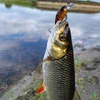 <p>Приветствую вас друзья! Сегодня мы проведем очередной анбоксинг посылки от Фмагазин.ру.</p>
<p