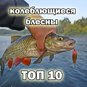 Колеблющийся топ 10 по белому хищнику