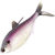 Мягкая приманка 13 Fishing B.A.M.F. Shad 8 (20.3см) Purple Shad (упаковка - 1шт)